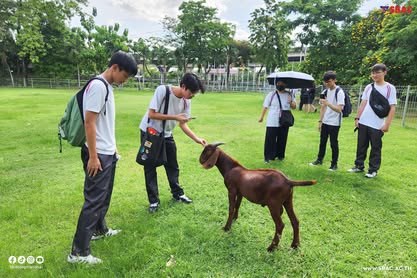 512685161_1136790341821187_1341645542652861184_n